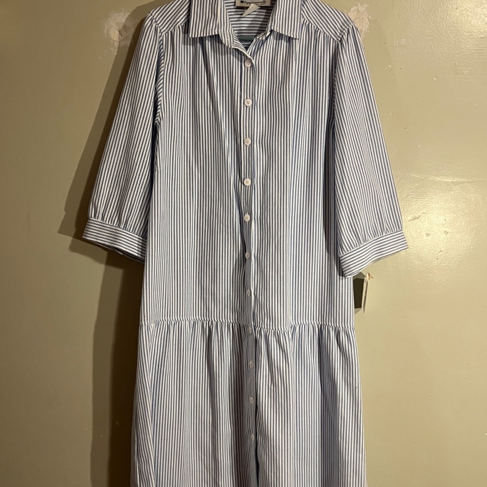 Vintage Drop Waist Shirt Dress
